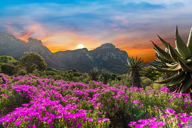 Kirstenbosch Botanical Gardens and Constantia Wine Tasting Tour. - Why this makes a good Cape Town day