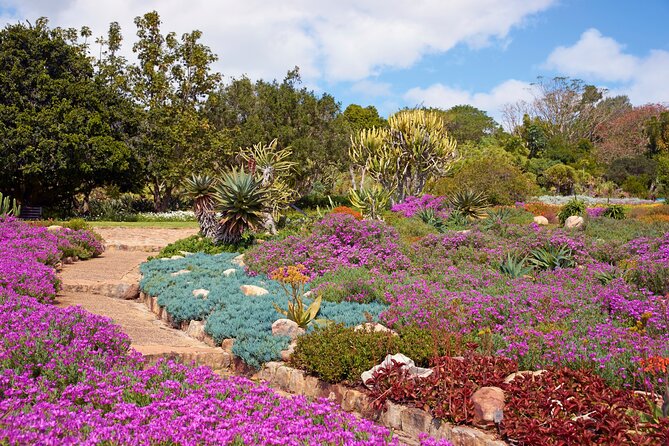Kirstenbosch Garden, Bo-Kaap-Penguins & Cape of Good Hope Tour - Camps Bay and the final Atlantic views
