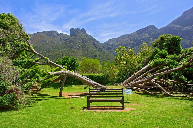Kirstenbosch Garden, Bo-Kaap-Penguins & Cape of Good Hope Tour - What the $85.44 price really covers