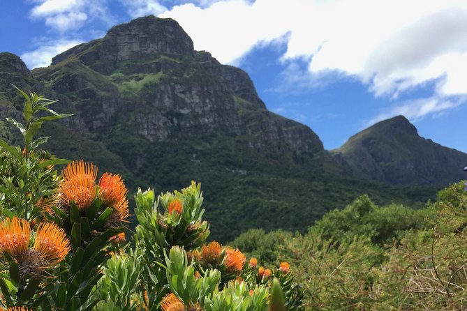 Kirstenbosch National Botanical Gardens: A Self-guided Audio Tour - What this Kirstenbosch audio walk actually gives you