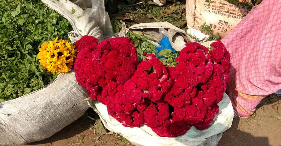 Kolkata: Half-Day Morning Tour w/ Flower Market - Kolkata’s flower market and the Howrah Bridge view