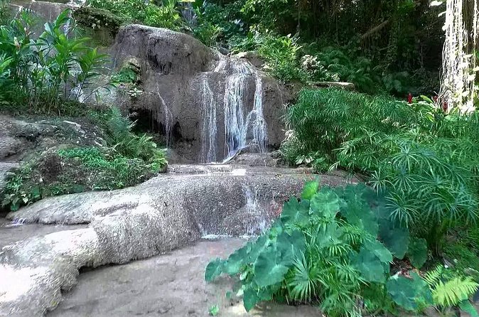 Konoko Falls and Tropical Garden Tour from Ocho Rios - What the Private Format Changes