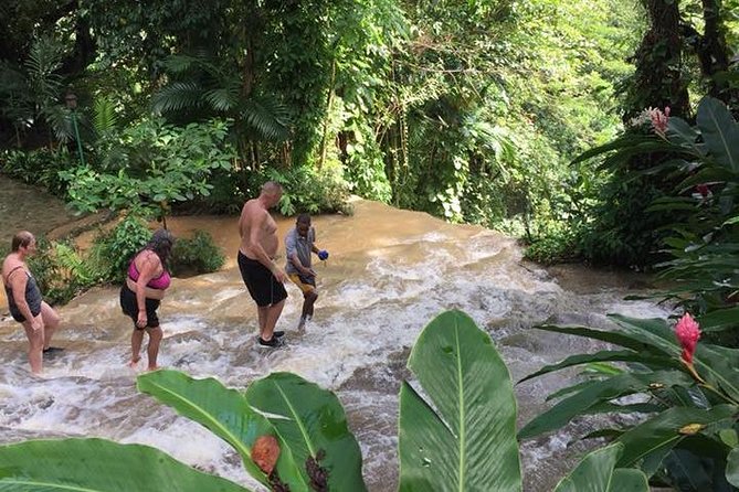 Konoko Falls and Tropical Garden Tour from Ocho Rios - Who Will Enjoy This Morning Most?