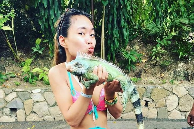Konoko Falls and Tropical Garden Tour from Runaway Bay - Why the small group matters