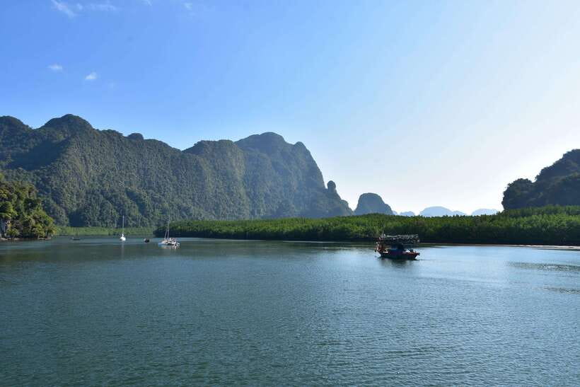 Krabi: A Kayaking Odyssey through Din Daeng Mangrove Maze - Into the mangrove forest