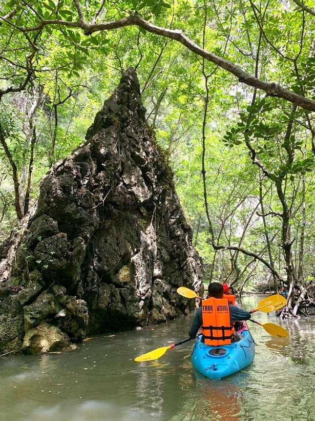 Krabi: A Kayaking Odyssey through Din Daeng Mangrove Maze - What $32 covers, and where the value lies