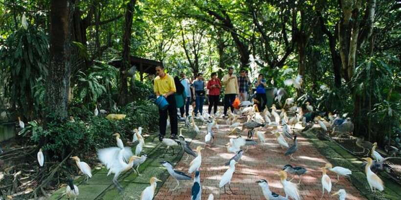 Kuala Lumpur: Bird Park, Butterfly & Garden Private Tour - Is $79 per person a fair deal?
