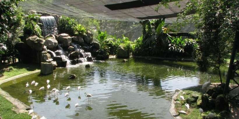 Kuala Lumpur: Bird Park, Butterfly & Garden Private Tour - How to plan the four hours well