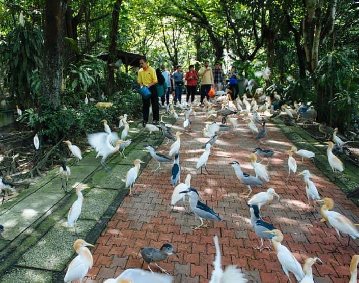 Kuala Lumpur: Bird Park, Butterfly & Garden Private Tour - KL Bird Park: the strongest stop on the route