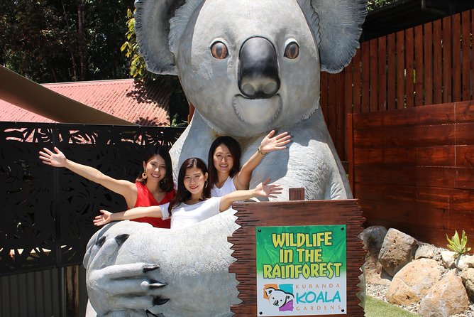 Kuranda Koala Gardens and Birdworld Admission Tickets - Two Kuranda wildlife parks, one easy outing