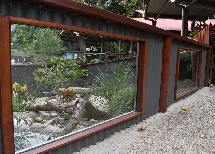 Kuranda Koala Gardens and Birdworld Admission Tickets - Is the $27.97 admission good value?