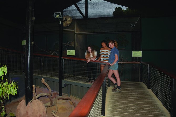 Kuranda Koala Gardens General Entry Ticket - Planning your Kuranda stop