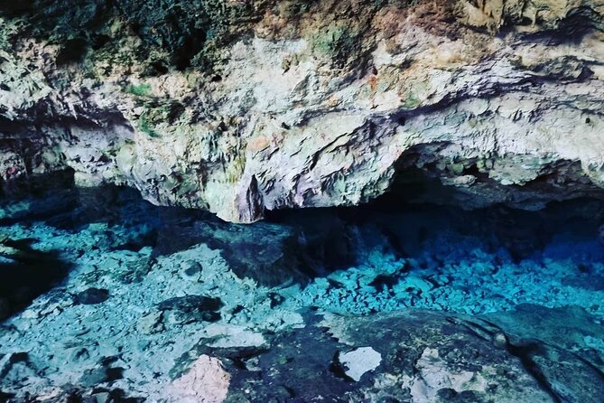Kuza Cave, Monkey Tour, Secret Garden, Prison Island, Salaam Cave - Prison Island: tortoises and a difficult past