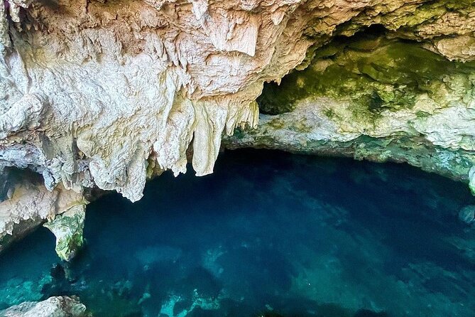 Kuza Cave, Monkey Tour, Secret Garden, Prison Island, Salaam Cave - Jozani Chwaka Bay: Zanzibar’s native monkeys
