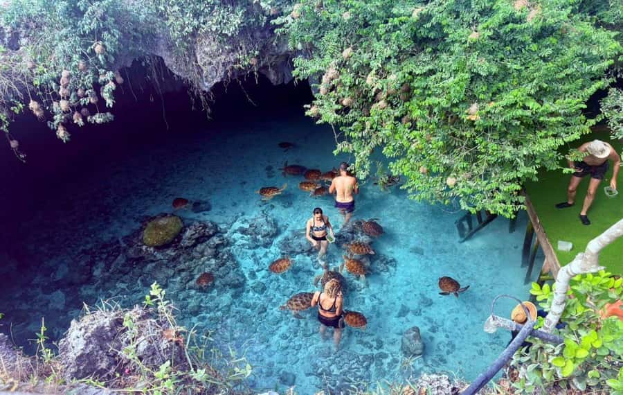 Kuza Cave, Rock Restaurant, Jozani Forest, Clear Kayaking - Is $150 a fair price?