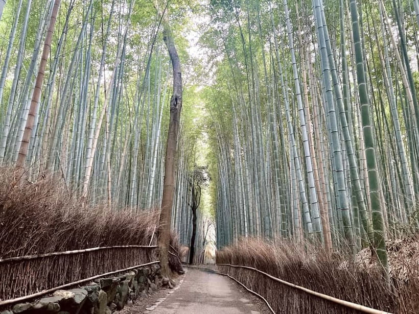 Kyoto: Arashiyama Bamboo Forest and Garden Views Tour - Kimono Forest and the first look at Arashiyama