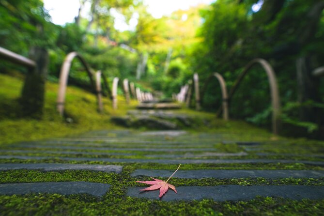 Kyoto Arashiyama Bamboo forest & Garden Half-Day Walking Tour - The bamboo forest without rushing straight through