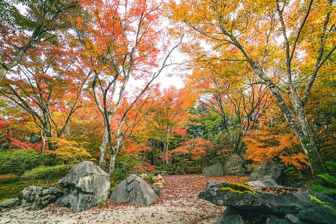 Kyoto Arashiyama Bamboo forest & Garden Half-Day Walking Tour - Okochi Sanso Garden and the cost of admission