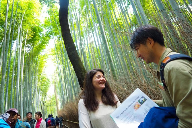 Kyoto Arashiyama Bamboo forest & Garden Half-Day Walking Tour - Hokyoin and the quieter side of Arashiyama