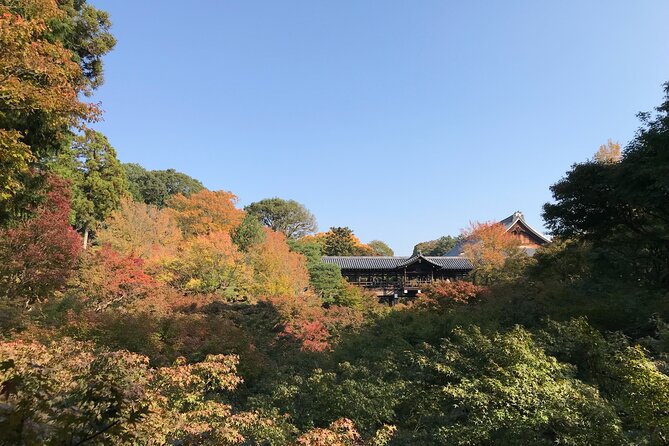 Kyoto Guided Walking Tour: Secret Zen Garden and Fushimi Inari - Why this route works so well in Kyoto