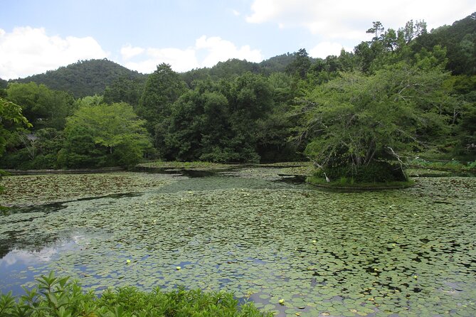 Kyoto ITALIAN GUIDE Golden Pagoda Bamboo Forest Dry Garden - Is $113.85 a fair price?