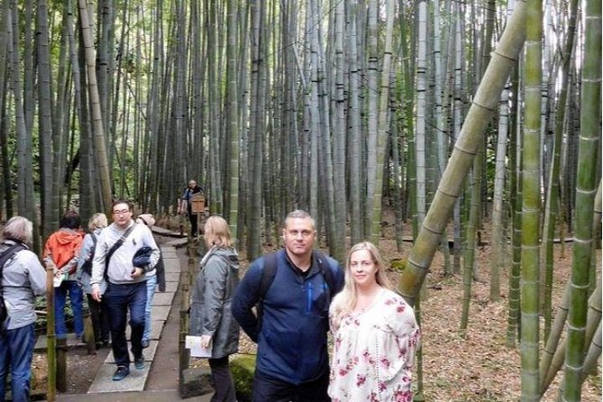 Kyoto Japanese Garden Lover's Private Tour with Government-Licensed Guide - Moss, water, and quiet temple grounds