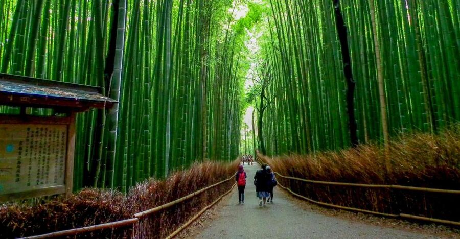 Kyoto: Japanese Gardens Private Customizable Tour - Why a private garden tour works well in Kyoto