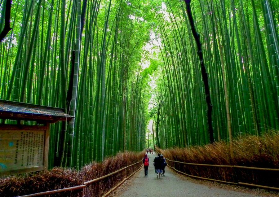 Kyoto: Japanese Gardens Private Customizable Tour - Kinkakuji and the beauty of a formal setting