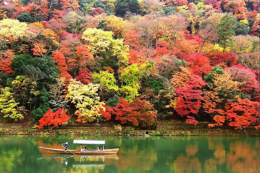 Kyoto: Japanese Gardens Private Customizable Tour - Imperial villas and Kyoto’s more refined garden style