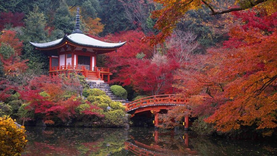 Kyoto: Japanese Gardens Private Customizable Tour - Honen-in, Tofukuji, and quieter temple choices