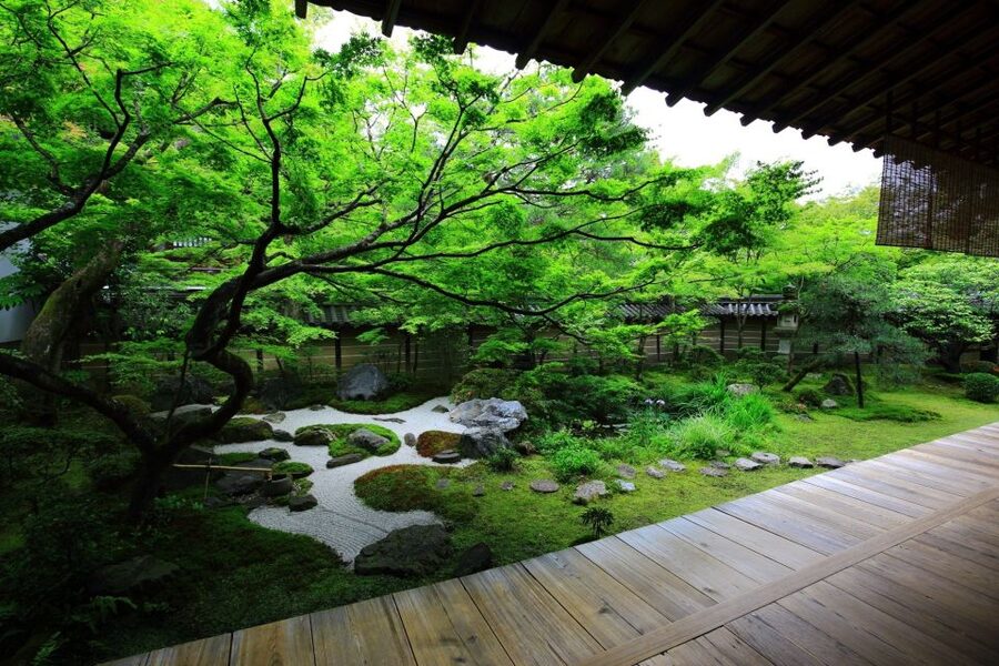 Kyoto: Japanese Gardens Private Customizable Tour - Transportation, timing, and the real cost