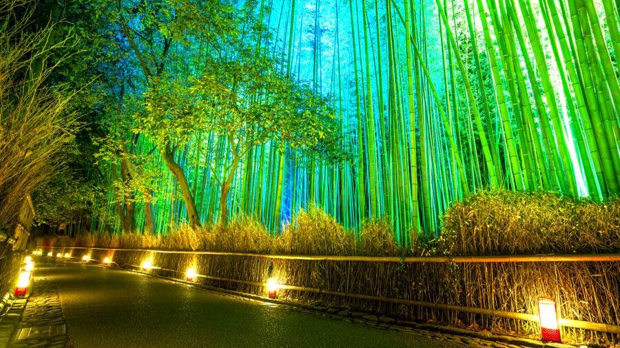 Kyoto: Japanese Gardens Private Customizable Tour - Dry stones, moss, and the Zen garden tradition