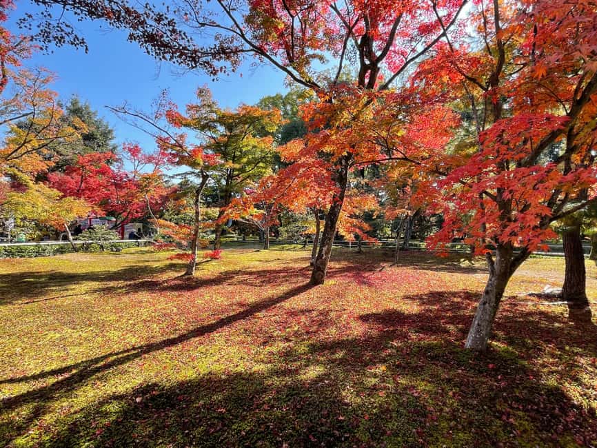Kyoto: Kinkaku-ji Temple & Serene Garden Tour with Tickets - Kinkaku-ji: the hour built around a famous view