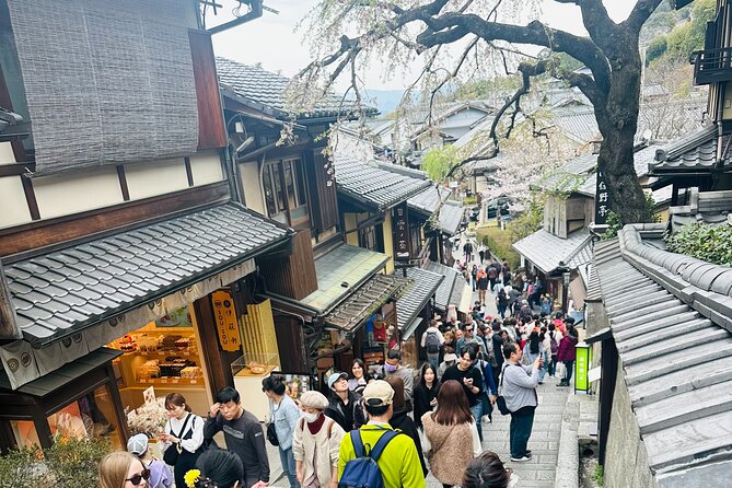 Kyoto-Nara Adventures Private Tour With Hotel Pick Up - The driver-guide question deserves careful attention
