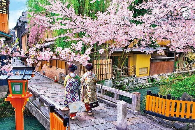 Kyoto Sakura & Hidden Gems of Timeless Tradition - The bamboo path without the usual pressure