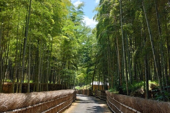 Kyoto Sakura & Hidden Gems of Timeless Tradition - Six hours and 7,000 to 8,500 steps