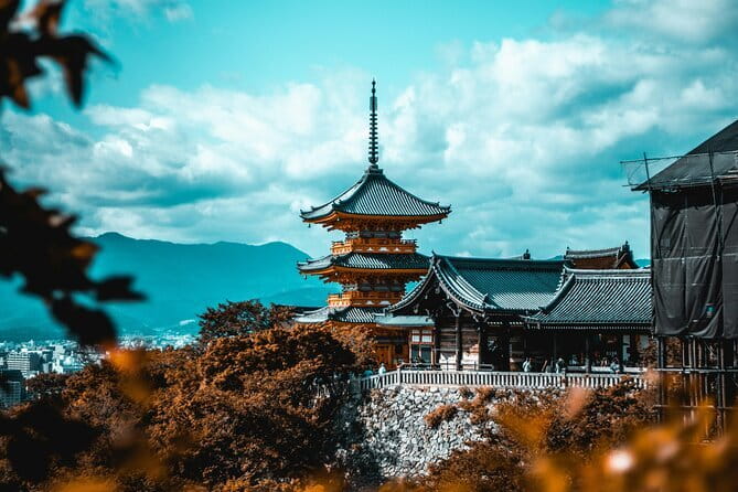 Kyoto Sakura & Hidden Gems of Timeless Tradition - Who will enjoy this most