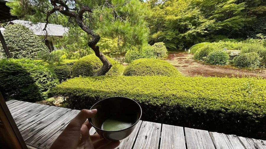 Kyoto: Shakyo & Matcha in Historic Temple Garden - Key points to know before booking