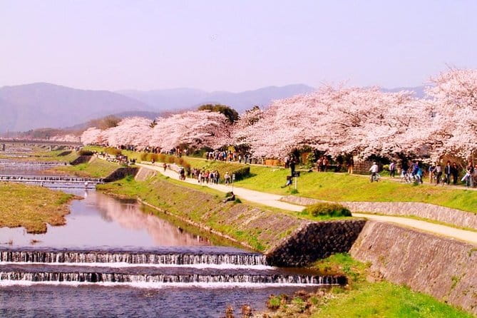 Kyoto Spring Evening (Cherry Blossom) Food Tour - Kawai Jinja and the first cultural pauses