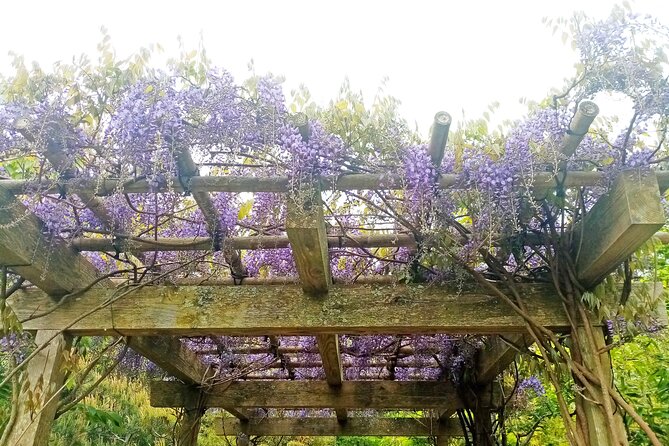 Lafcadio Hearn Japanese Gardens Admission Adult Ticket - What I would do with the extra time