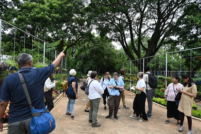 Lalbagh Botanical Garden Early Morning Walk + Breakfast at MTR - Why this early Bangalore walk works so well