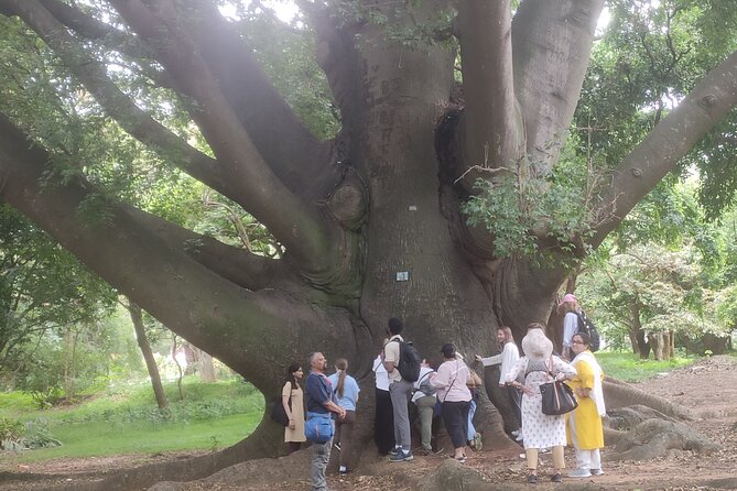 Lalbagh Botanical Garden Early Morning Walk + Breakfast at MTR - Kempegowda Tower, wooden art, and a shaded boulevard