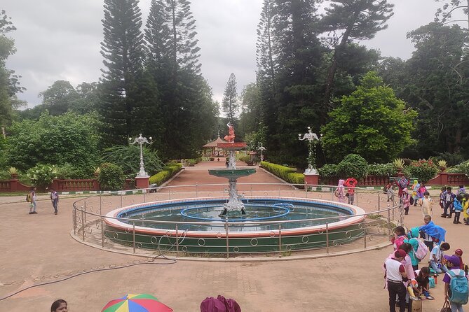 Lalbagh Botanical Garden Early Morning Walk + Breakfast at MTR - The northern entrance, bonsai, and the old mango tree