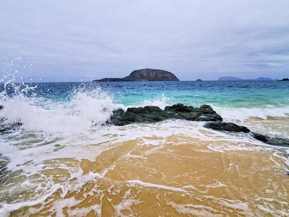 Lanzarote Tour: Lagomar Museum, Cactus Garden & La Graciosa - Key points to know before booking