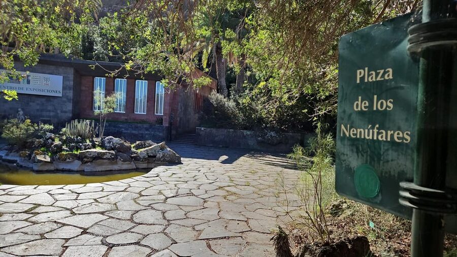 Las Palmas: Botanic Garden Tour (Bandama Caldera Option) - What the $39 price really includes