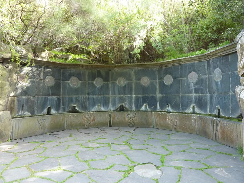 Las Palmas: Botanic Garden Tour (Bandama Caldera Option) - Guides, group feel, and the human side
