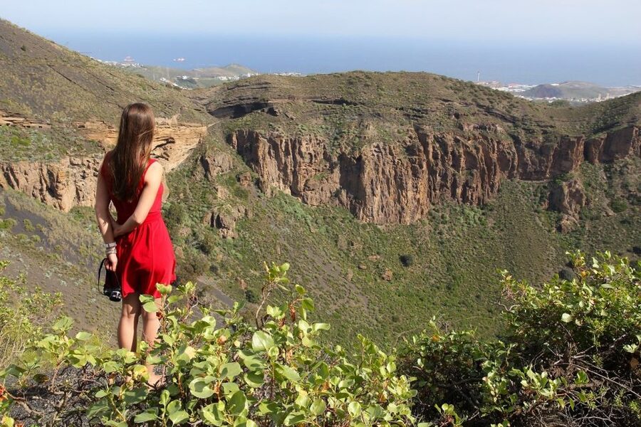Las Palmas, Botanical Gardens and Bandama Volcano Tour - Coach transport and pickup details