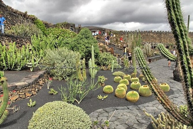 Las Palmas Tour: Vegueta, Botanical Garden & Bandama Crater - Bandama Crater in 15 minutes