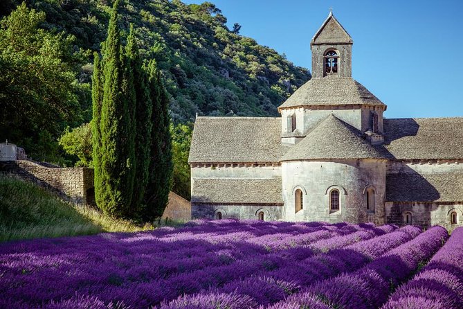 Lavender Beauty Small Group Half Day Tour from Avignon - The Road From Avignon to Sault