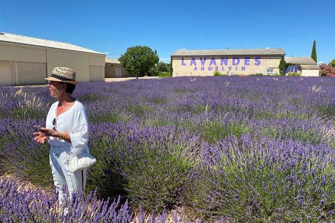 Lavender Discovery Private Tour in Provence - The 90-Minute Stop on the Valensole Plateau